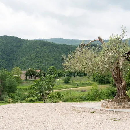 Sussurro In Montagna Villa Cortona